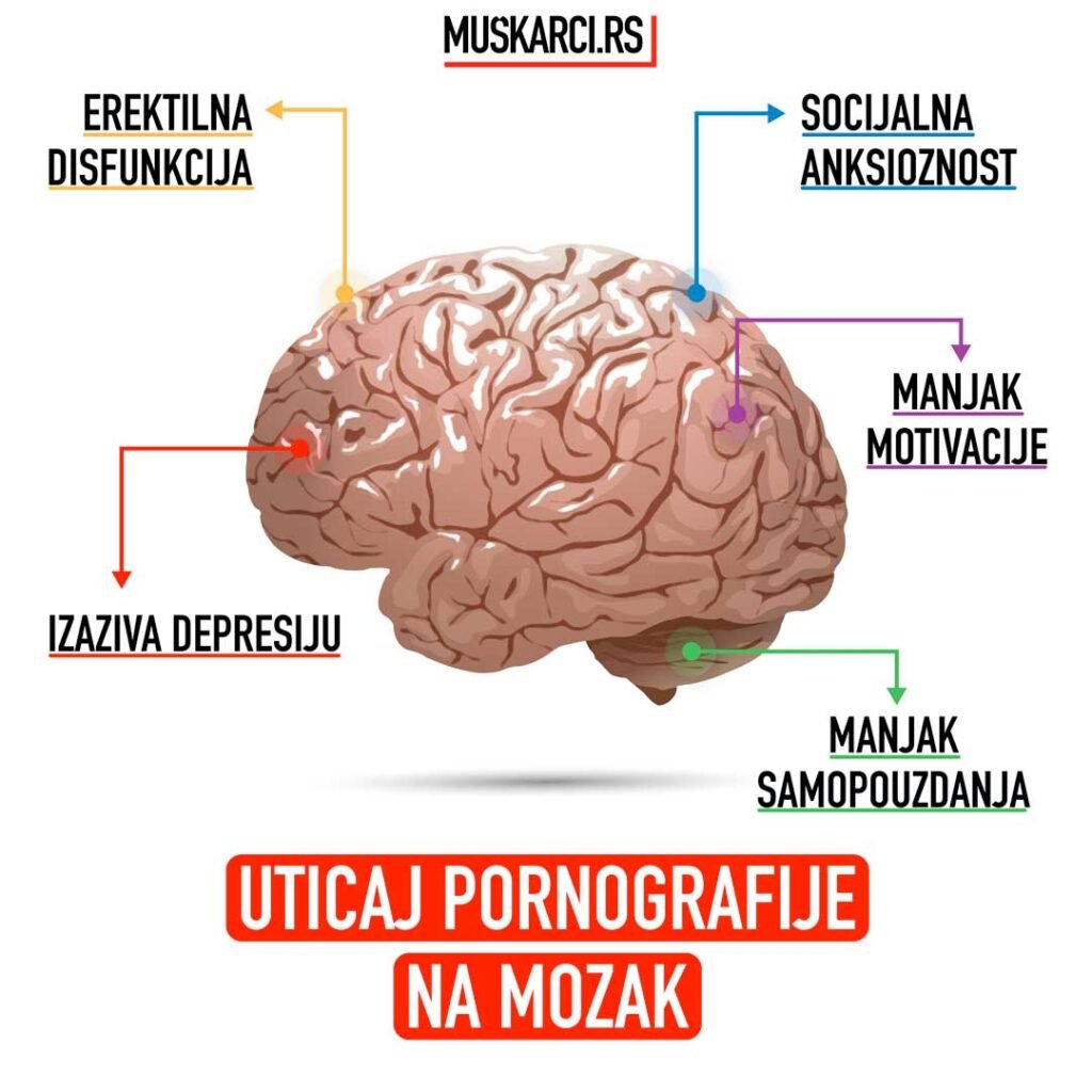 Grafički prikaz kako pornografija utiče na mozak