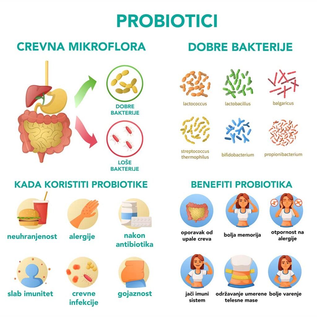 Infografik: Vodič za korišćenje probiotika